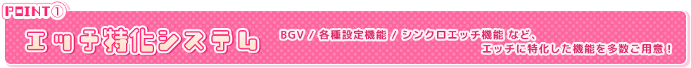 エッチ特化システム